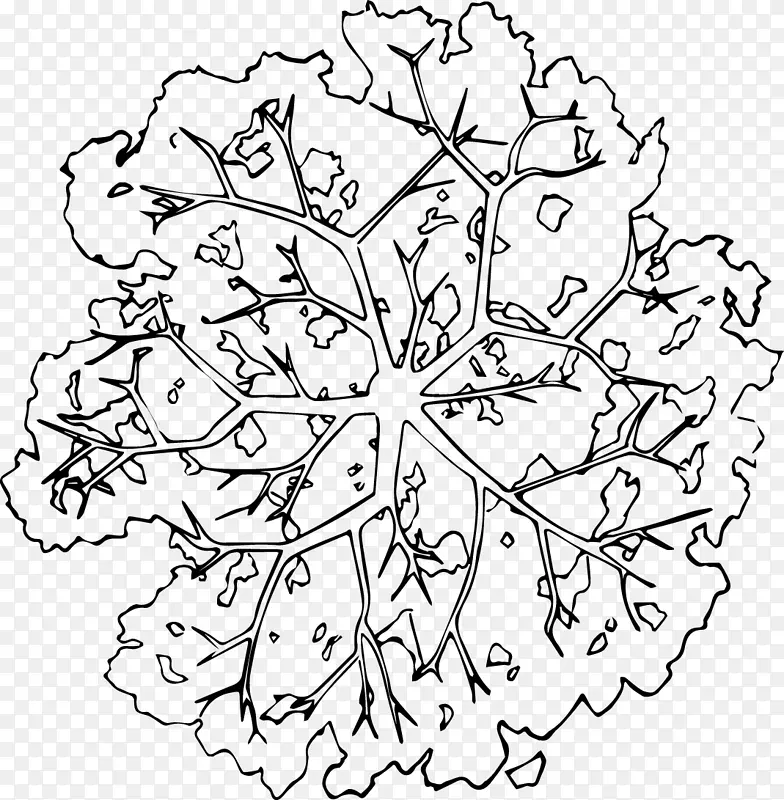 ��ľ��֦�ڰ׷��ֻ��߸�ƽ��-������