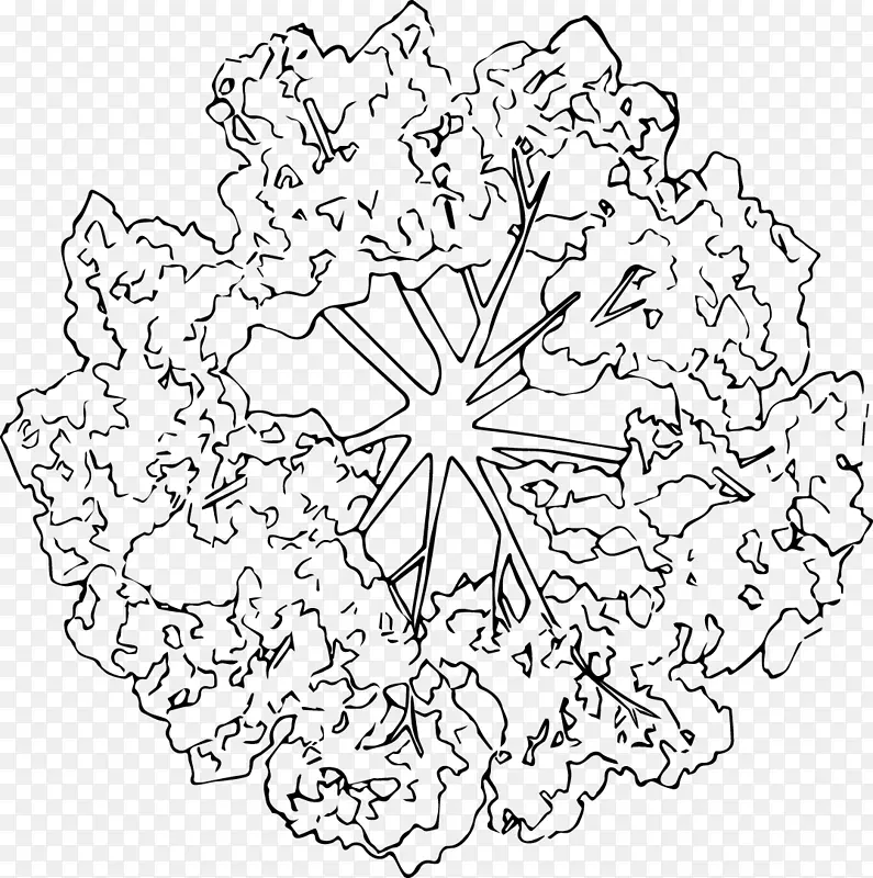 ��ľ��֦���ںڰ׷��ֻ��߸�ƽ��-������