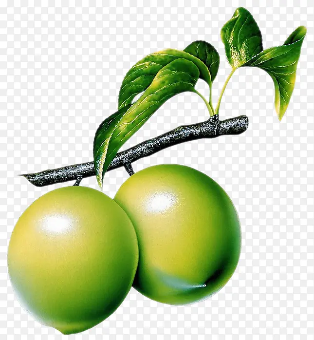 ˮ��ͼƬ��ˮ�������ӣ�ֲ��-������