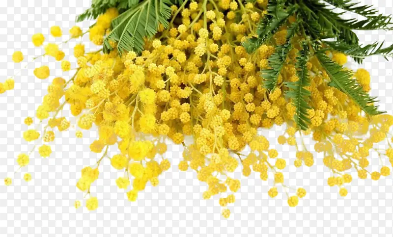 ���޹���  ��ϻ�-������