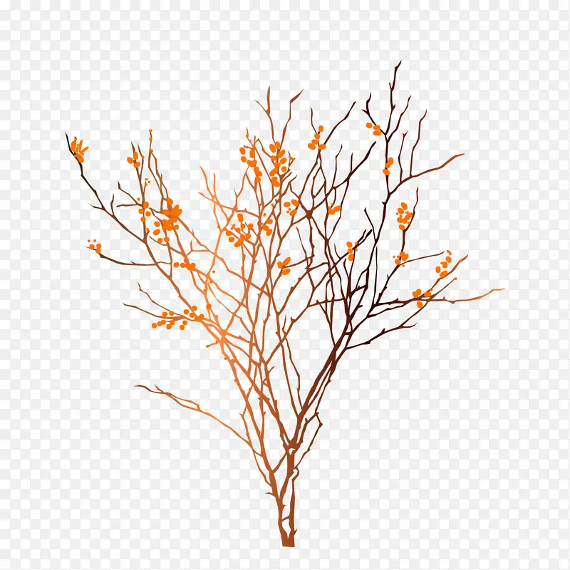 ������֦�ɻ���֦-������