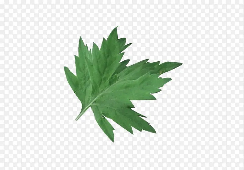 ����Ҷ�Ӱ�Ԫ��-������