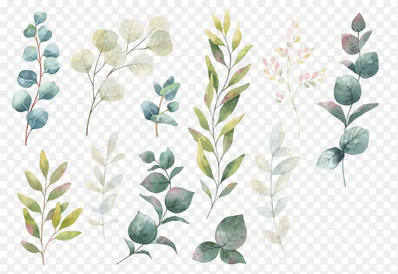 ���ָ�������֦��Ҷ-������