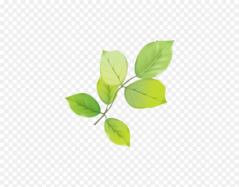 �ֻ���Ҷ��֦͸�����ز�-������