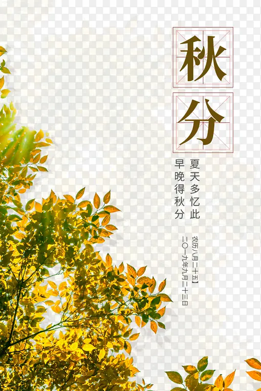 ���������֦��Ҷ��ʮ�Ľ���-������