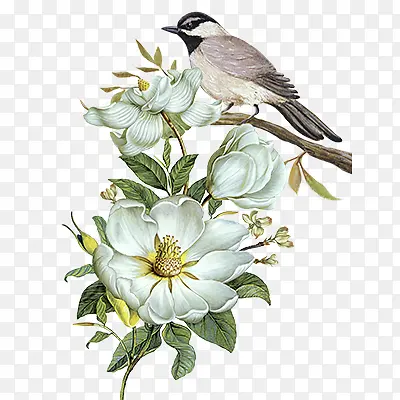 �����ֻ滨��Ԫ��-������