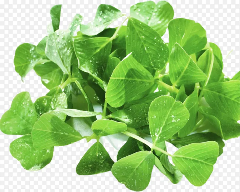 ���ʲ�ͷ��д-������