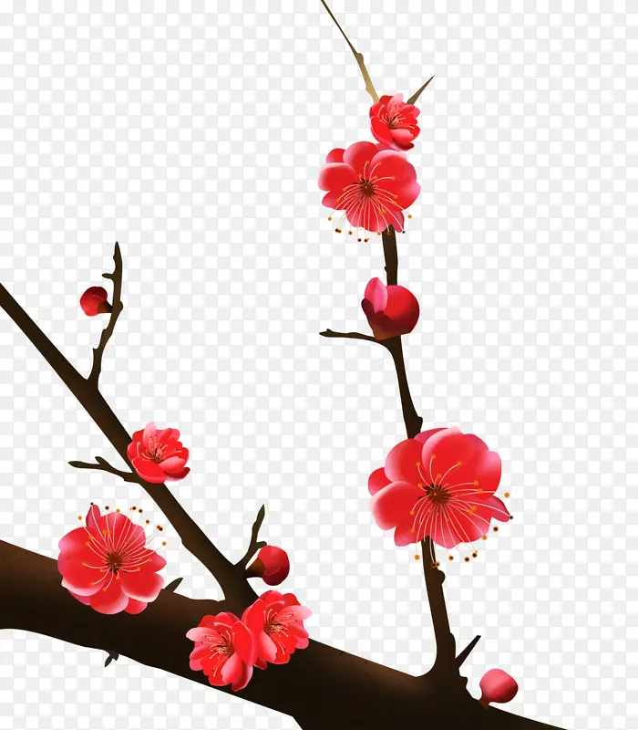 ÷�� ��֦-������