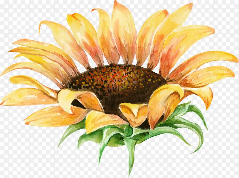 ˮ�����տ������ز�-������