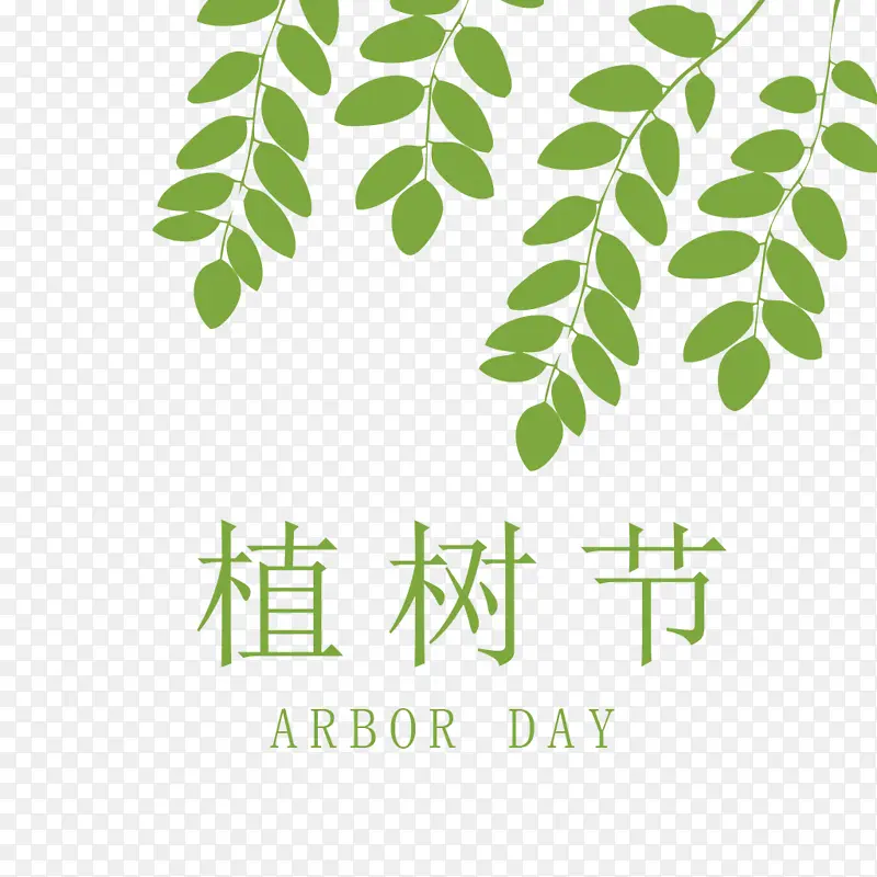 ֲ������ɫ��֦��Ҷ-������