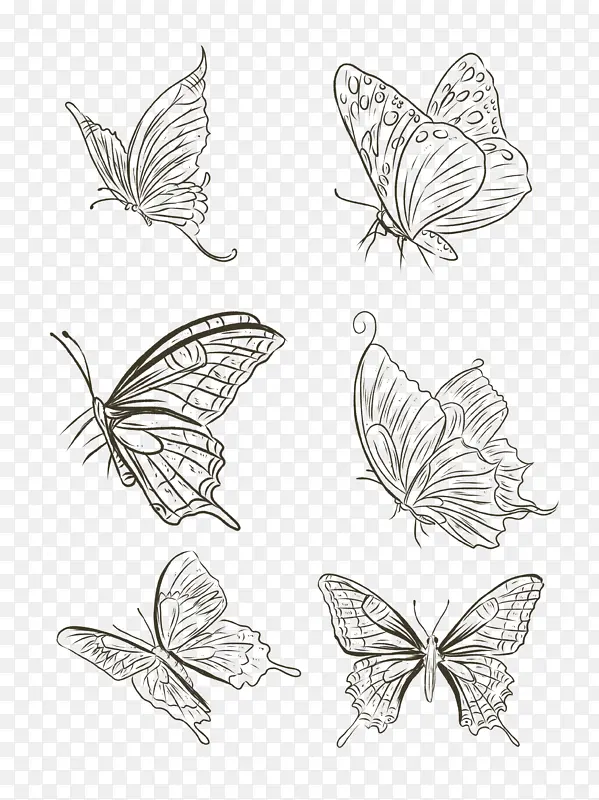 �����ڰײ廭-������