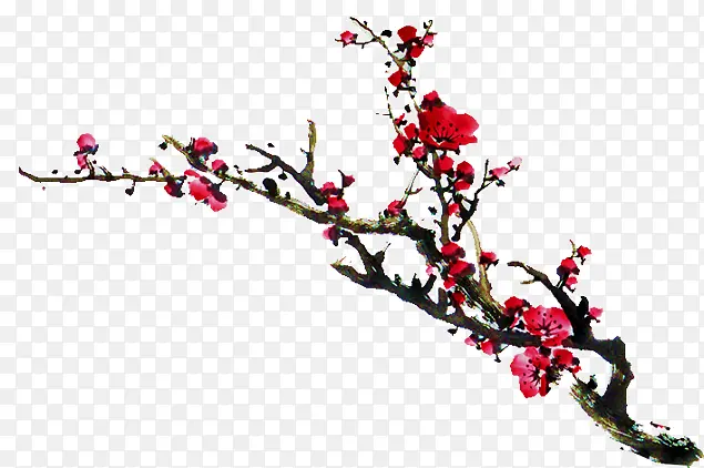 ��֦÷��ī÷-������