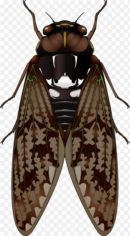 ����֪�˲�PNGͼƬ-������