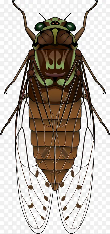 �����PNGͼƬ�ز�-������