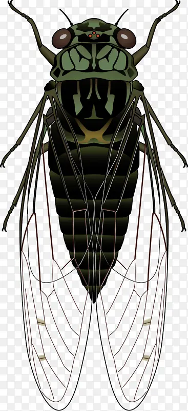 �����PNG�ز�-������