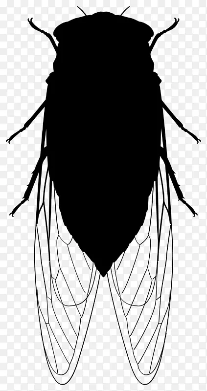 ��֪������PNGͼƬ-������