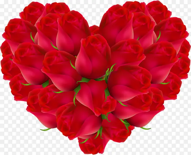 ����õ�廨�ز�-������