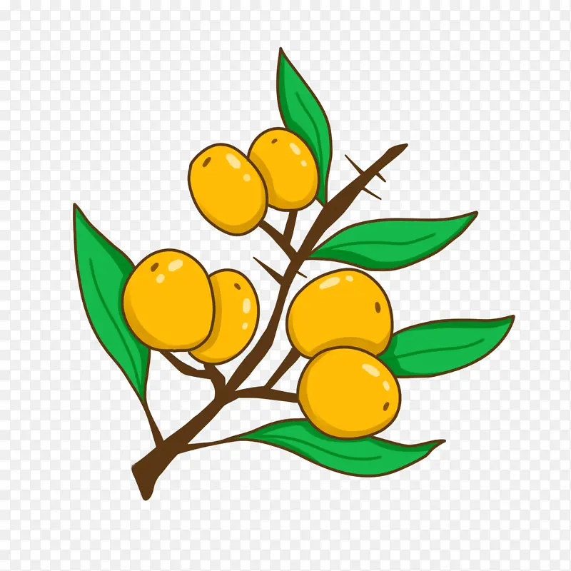 ɳ���� ��ͨ�ֻ�-������