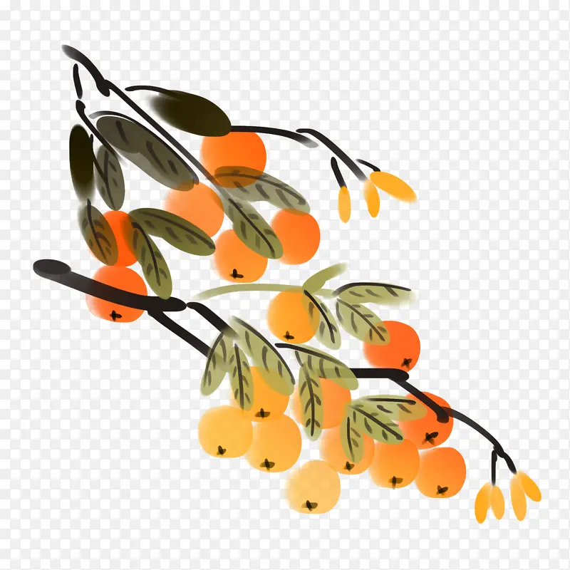 ɳ���� �ֻ�ɳ��-������