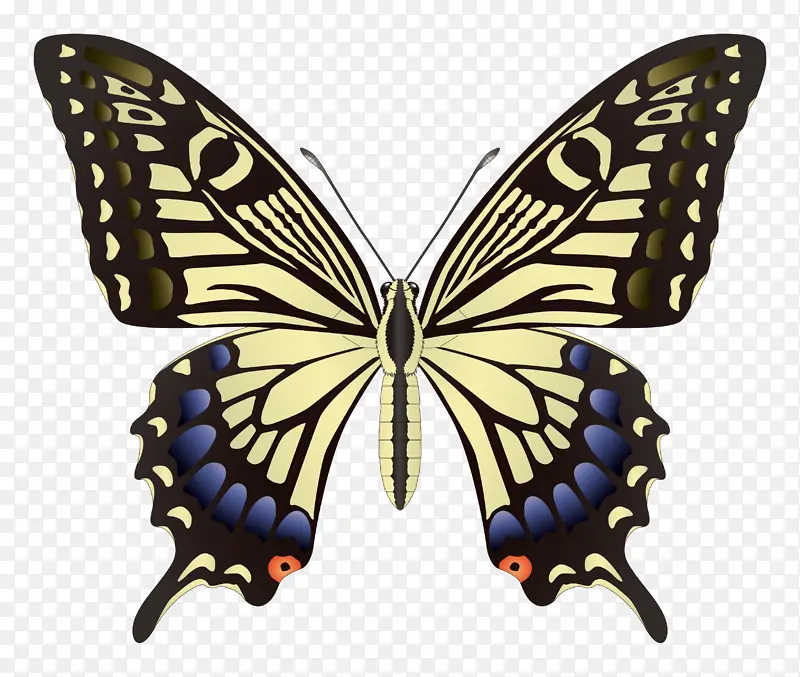 ��ɫ��������ͼƬ-������