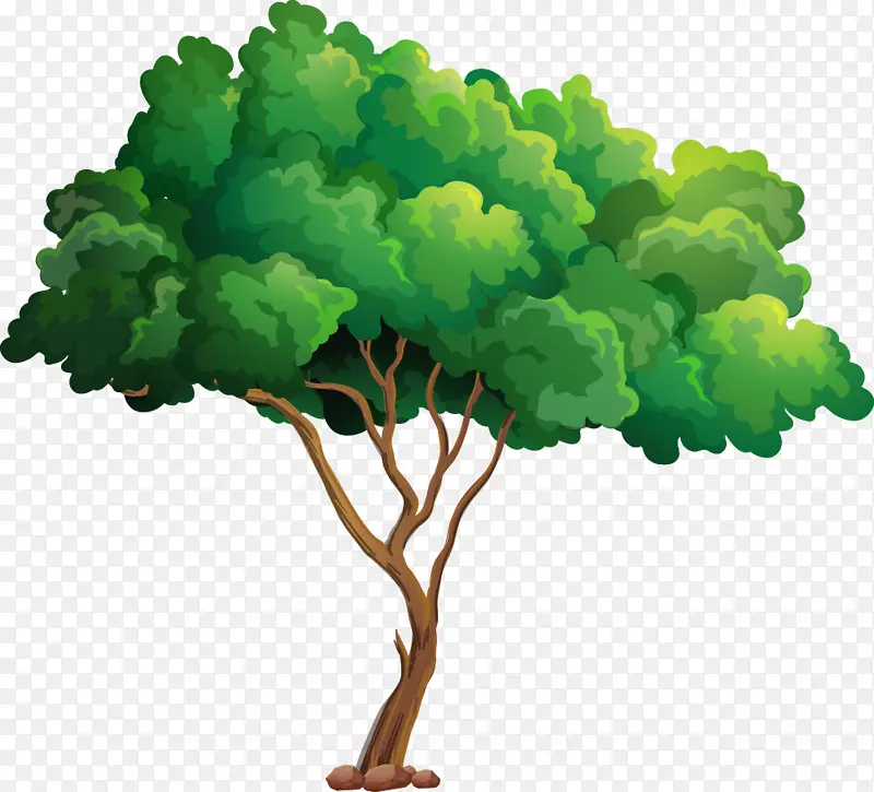 ��ֲֲ���ڲ廭-������