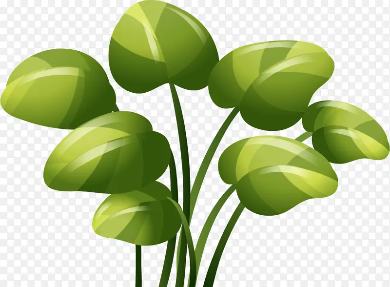 ��ͨ�廭�̲�-������