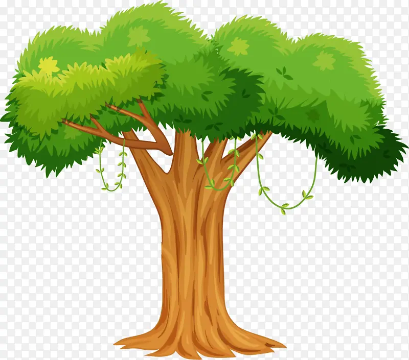 ��ͨ�廭��ɫ��-������