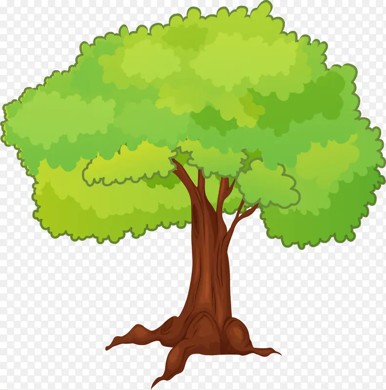 ��ͨ�廭����-������