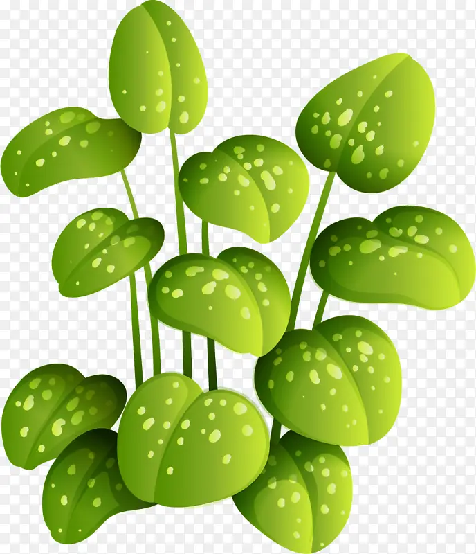 �廭��ͨ��ֲ-������