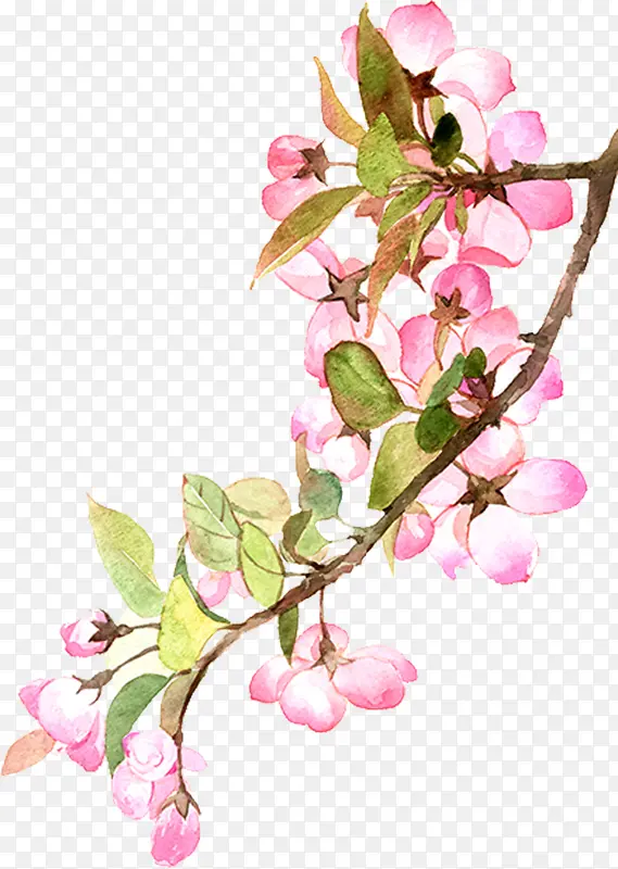 ˮī��ɫˮ�ʻ�-������