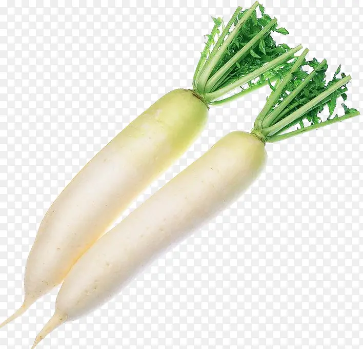 ���ʣ��߲ˣ��ܲ������ܲ�-������