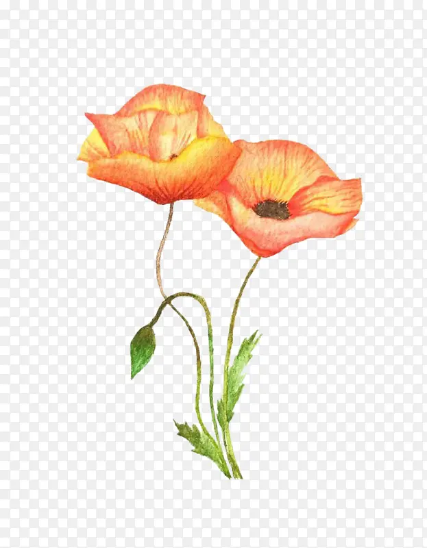 ˮ�ʻ� ������-������