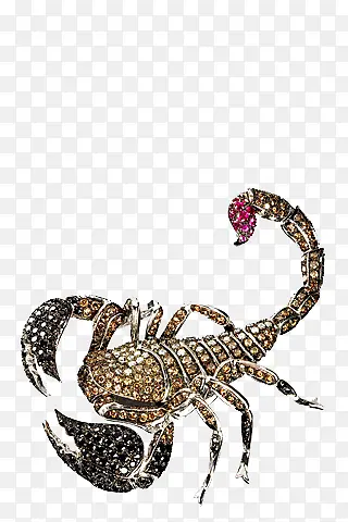 ��ʯЫ��-������