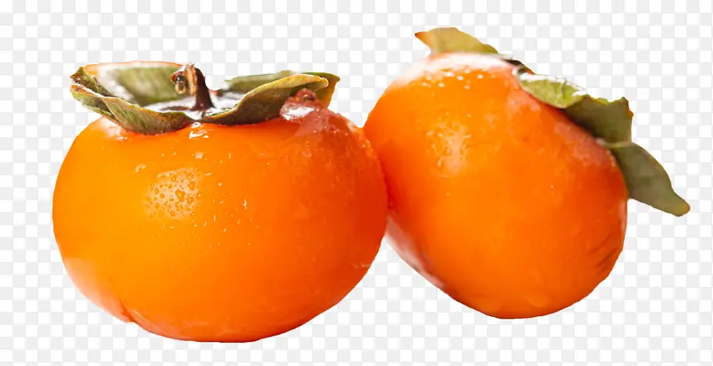 ����ˮ������-������