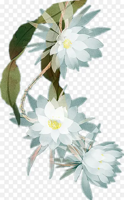 ��ɫ꼻��ز�-������