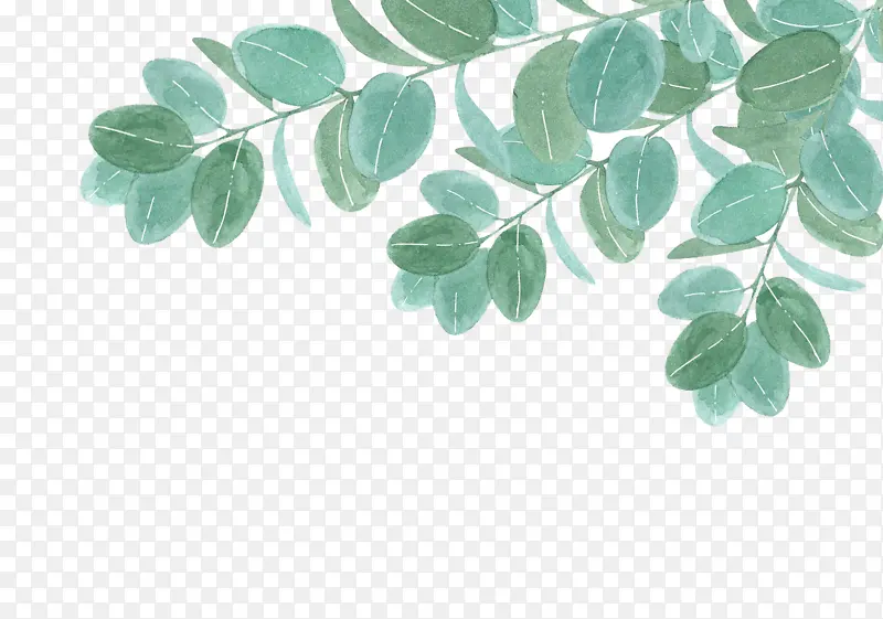 Ҷ��ˮ��Ч��2-������