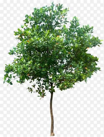 һ����ɫ����-������