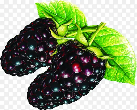 �ֻ����±���ˮ��-������