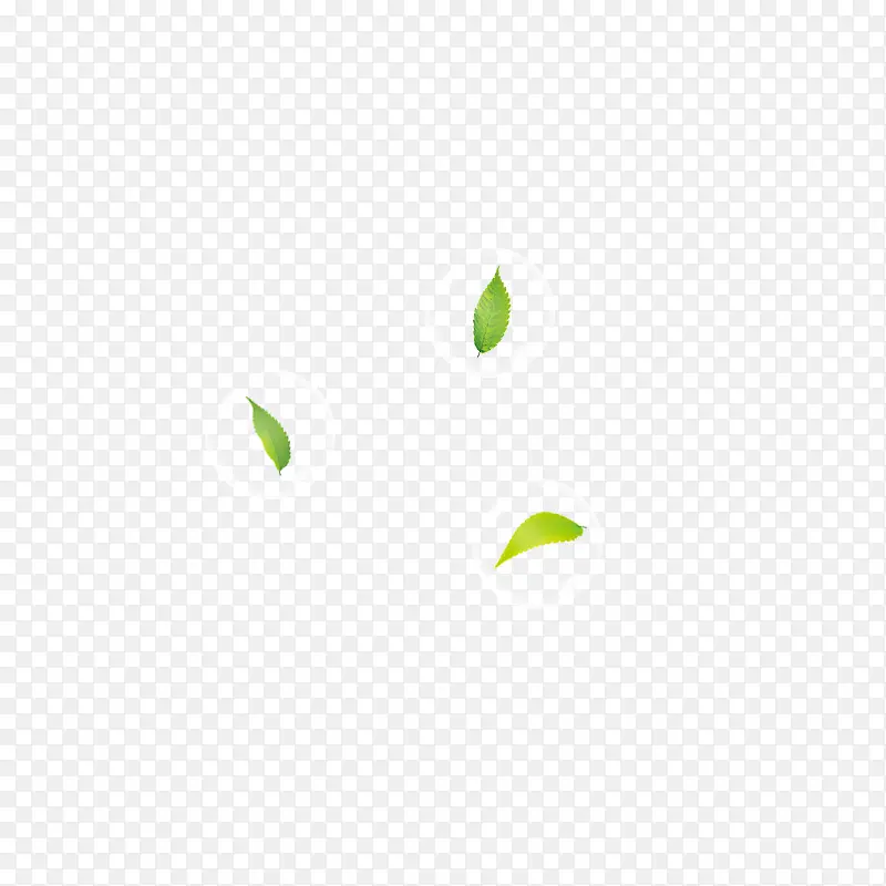 ͸���������ݣ�ͼ��ɲ�֣����Լ��滻��Ҷ-������