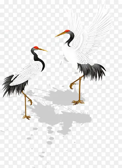 �ŷ��ɺ���۲廭-������