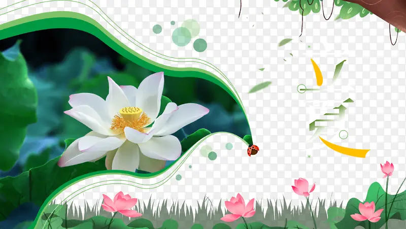 ���ĺɻ���֦��ʮ�Ľ���-������