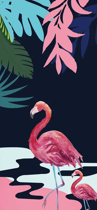 �������ֻ���ͼ��-������