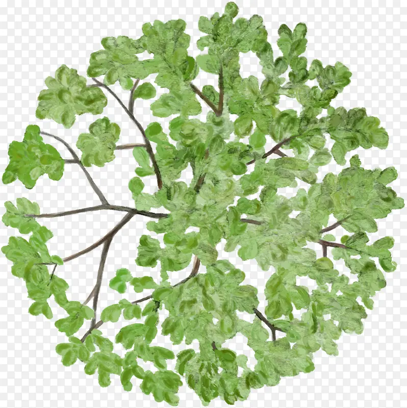 ǳ��ɫ����ɫҶ��ˮ�ʷ��ֻ�-������