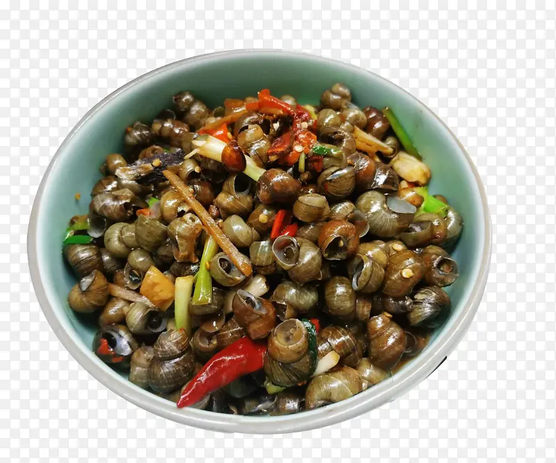 ������ζ��˿-������