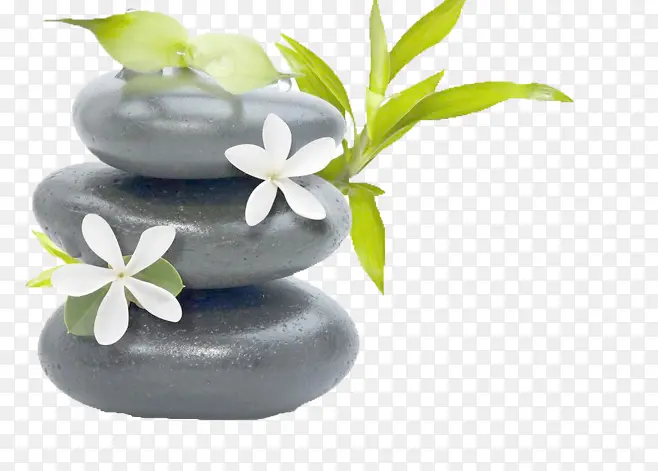 ʯͷ���ݣ���-������