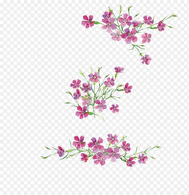 ˮ��Ұ������-������