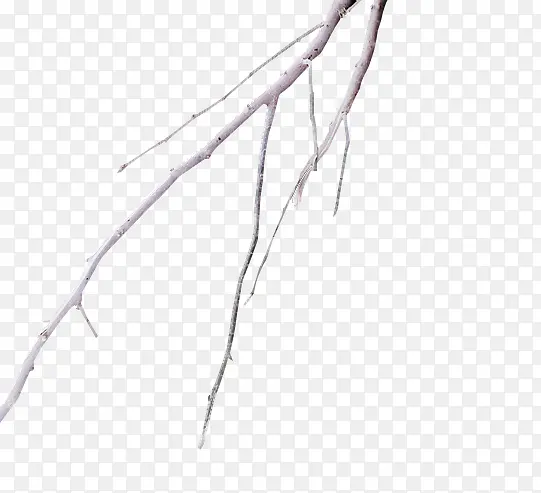 ��ͺͺ��ɫ��֦-������