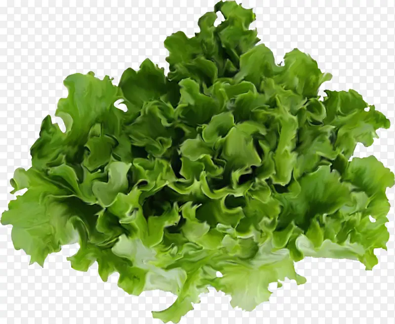 �߲�������ɫ-������