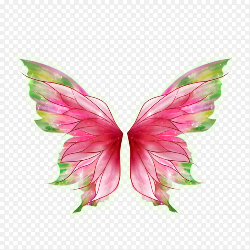 ��ɫչ���ֻ����-������