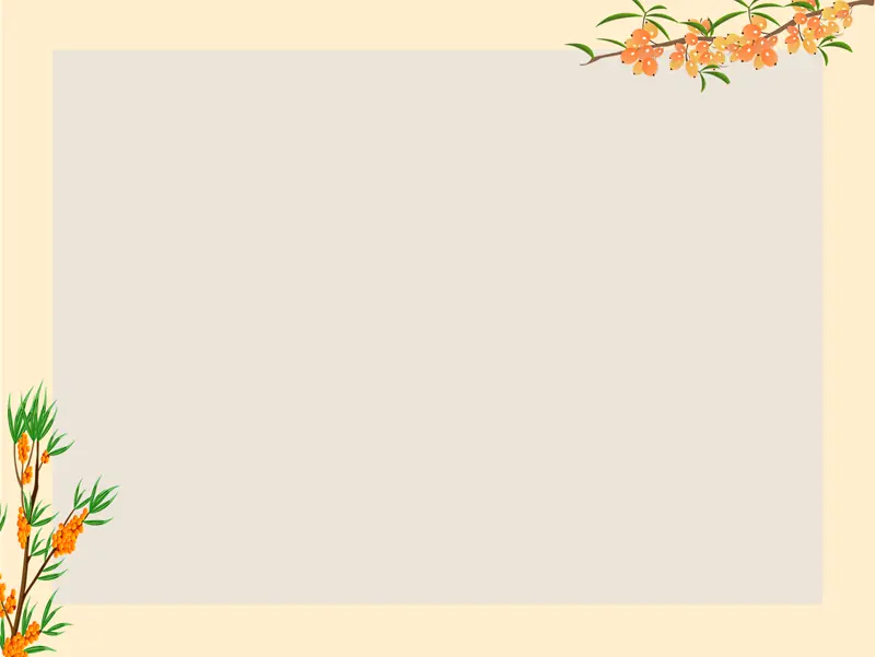 ɳ������PPT����-������